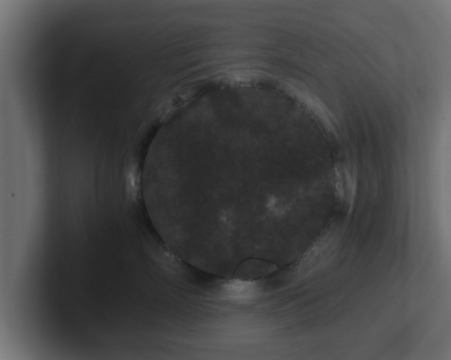 X0000102800718200808251049