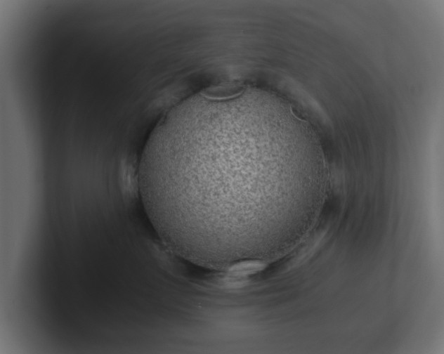 X0000102800719200808251049