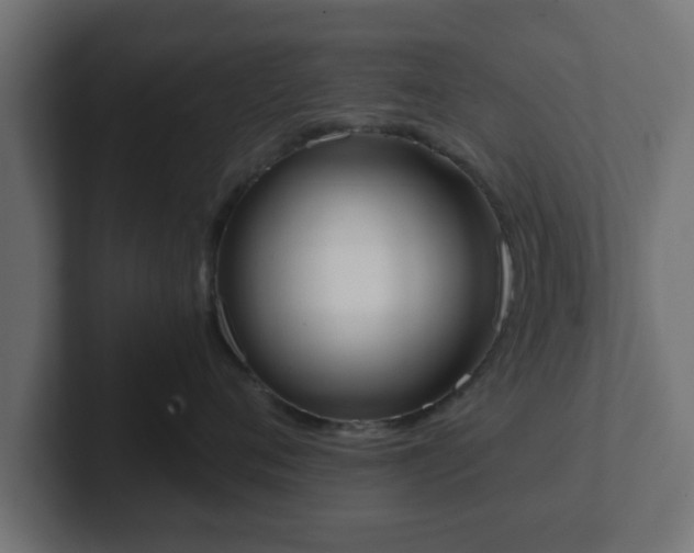 X0000102800720200808251049