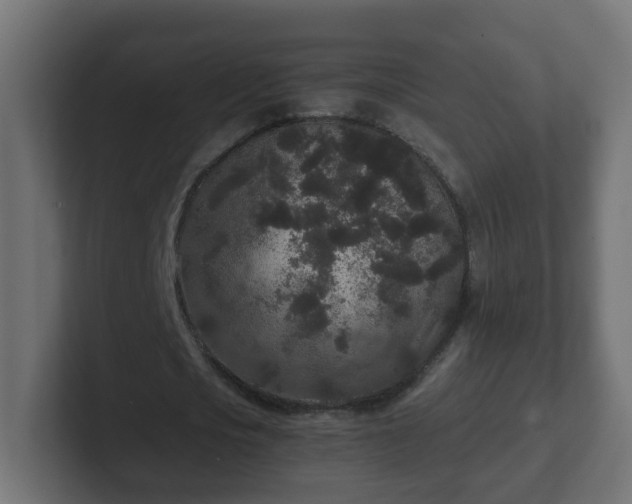 X0000102800721200808251048