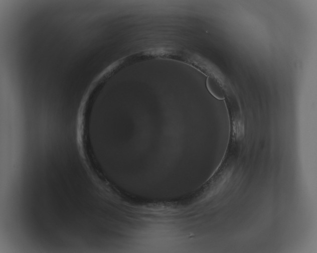 X0000102800724200808251048