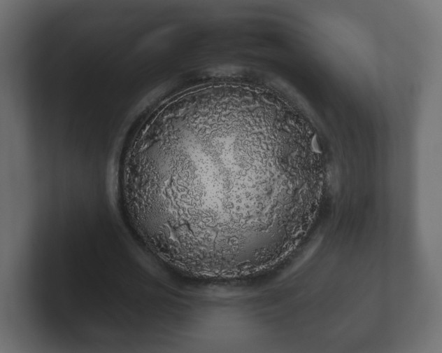 X0000102800725200808251048