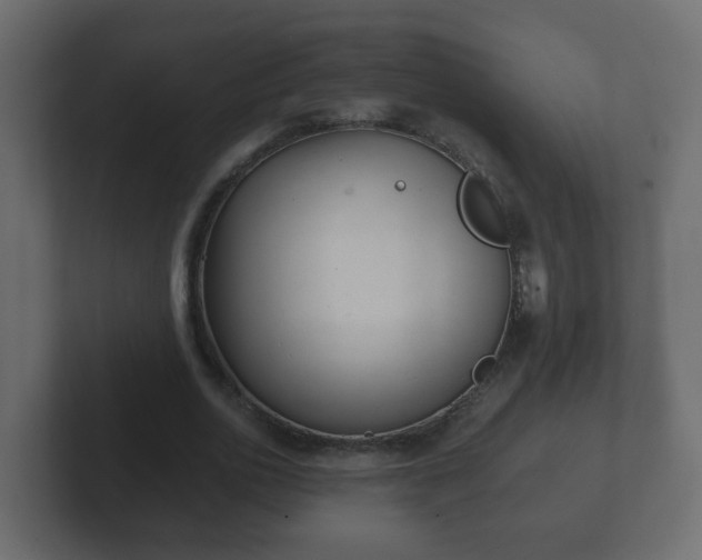 X0000102800726200808251048