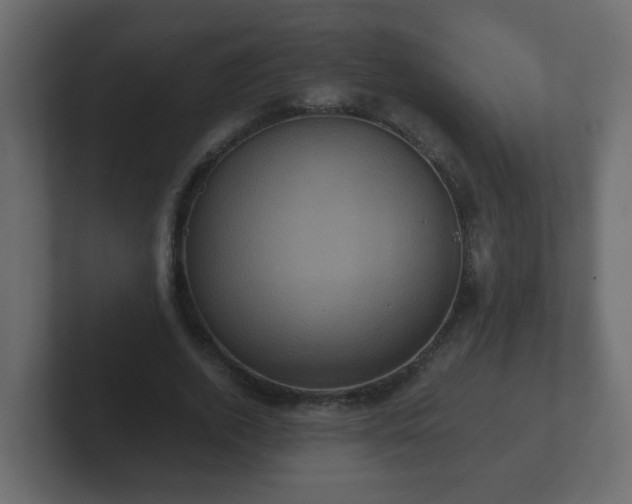 X0000102800728200808251048