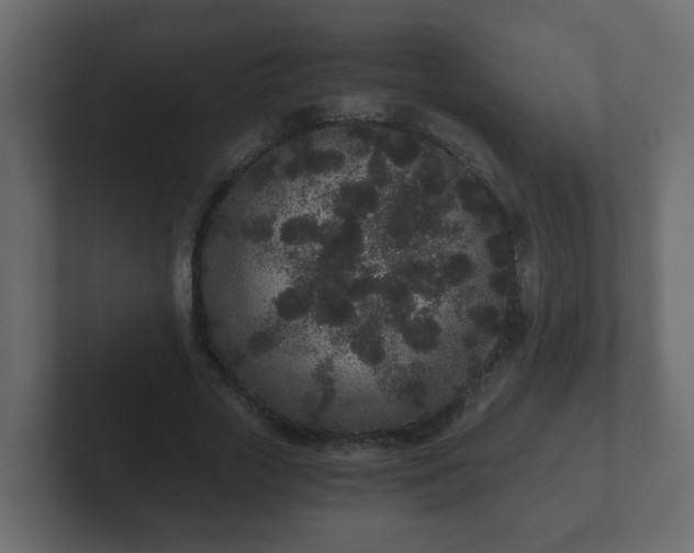 X0000102800729200808251048