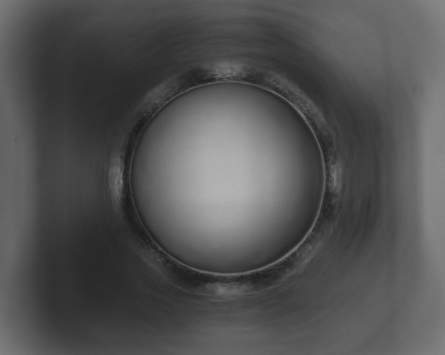 X0000102800733200808251048