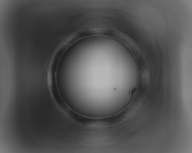 X0000102800734200808251048