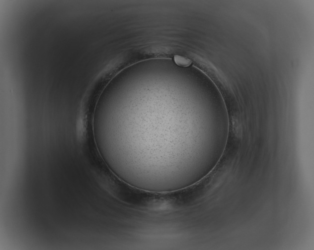 X0000102800735200808251048