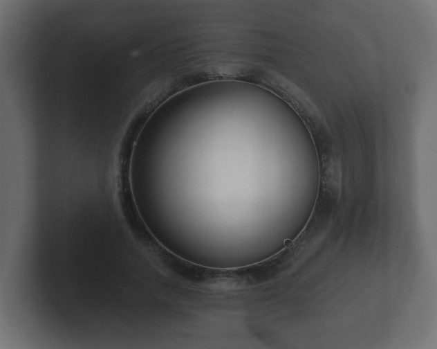 X0000102800738200808251048