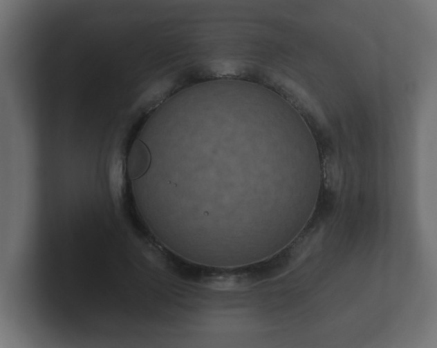 X0000102800740200808251048