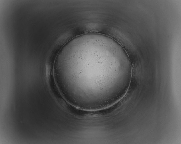 X0000102800742200808251048