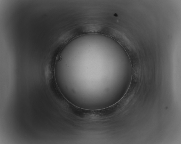 X0000102800743200808251048