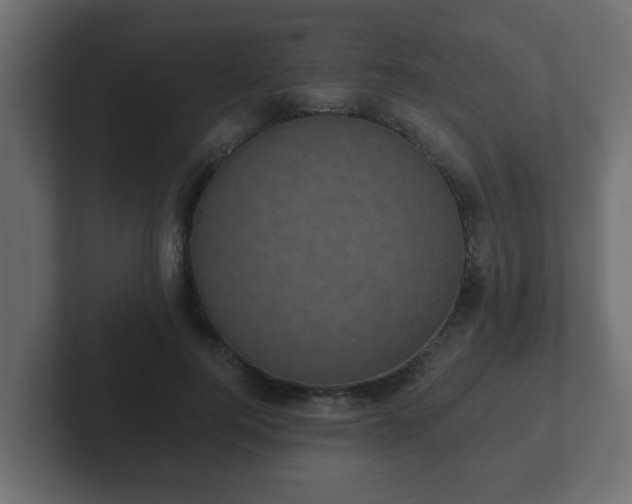 X0000102800744200808251048