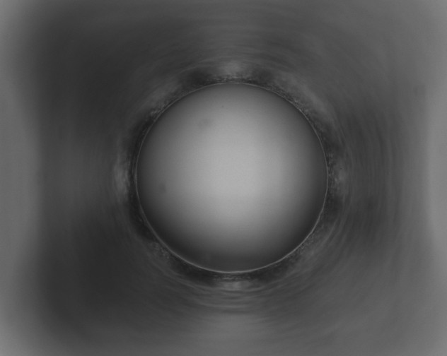 X0000102800746200808251048