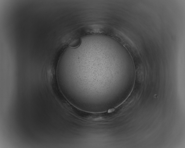 X0000102800747200808251048