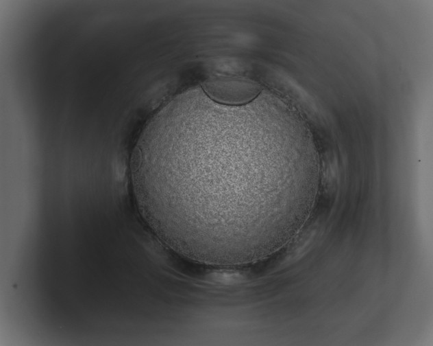 X0000102800749200808251048