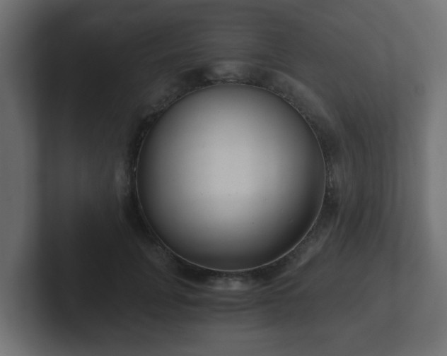 X0000102800751200808251048