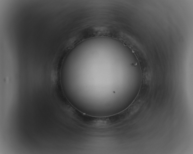 X0000102800756200808251049