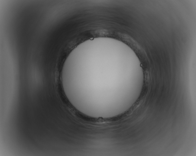 X0000102800760200808251049