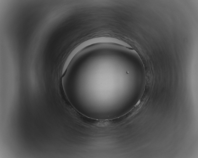 X0000102800762200808251049