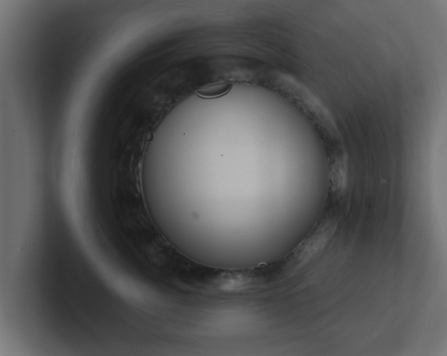 X0000102800764200808251049