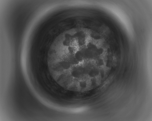 X0000102800765200808251049