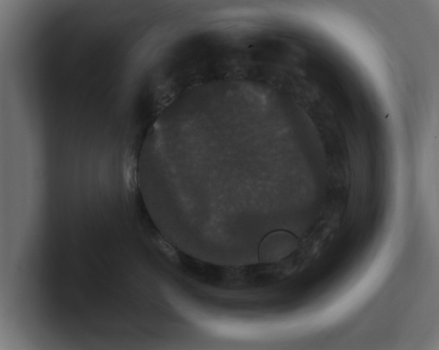 X0000102800766200808251049