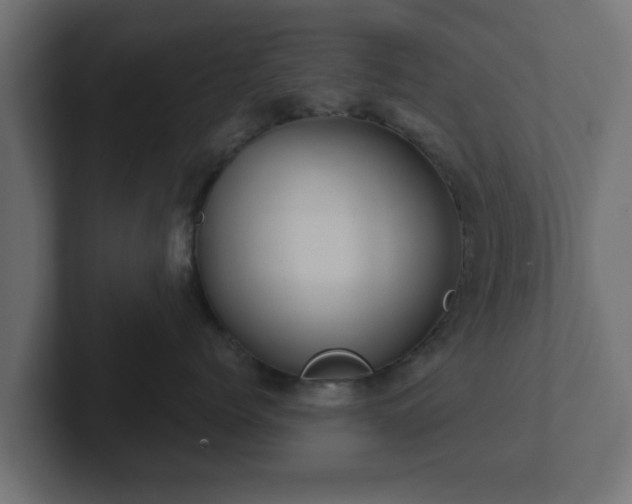 X0000102800768200808251049