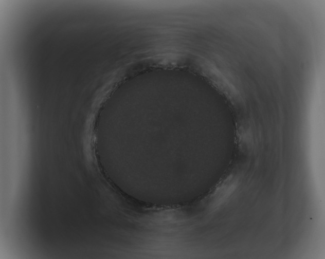 X0000102800769200808251048