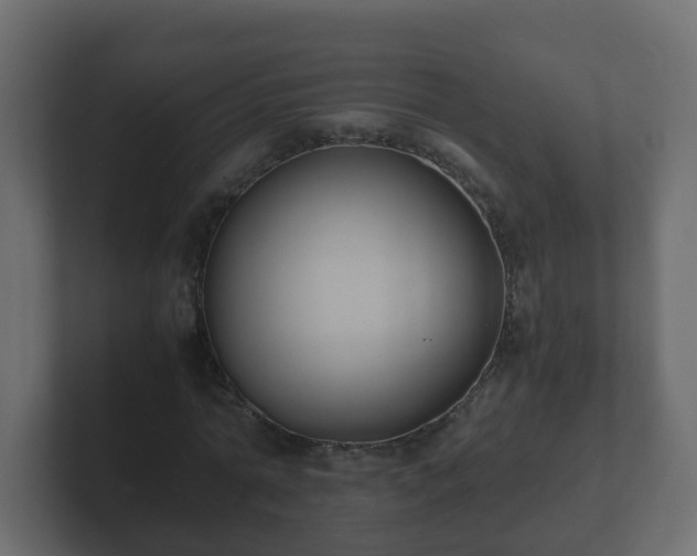 X0000102800774200808251048