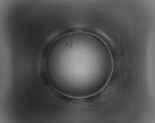 X0000102800775200808251048