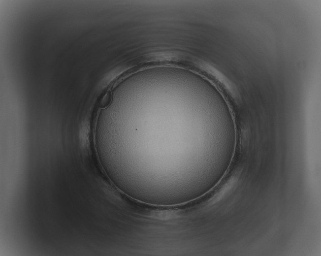 X0000102800778200808251048