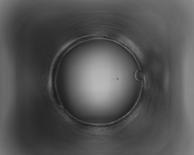 X0000102800780200808251048