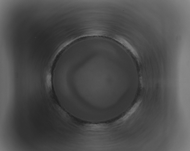 X0000102800781200808251048