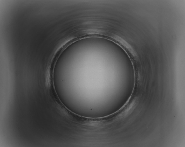 X0000102800782200808251048