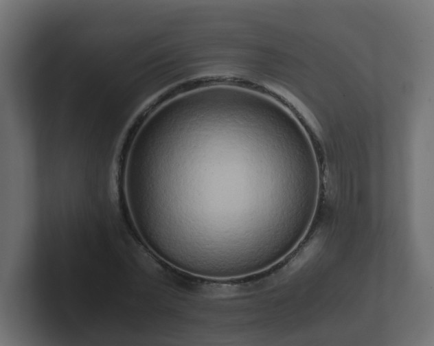 X0000102800783200808251048