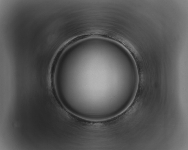 X0000102800784200808251048