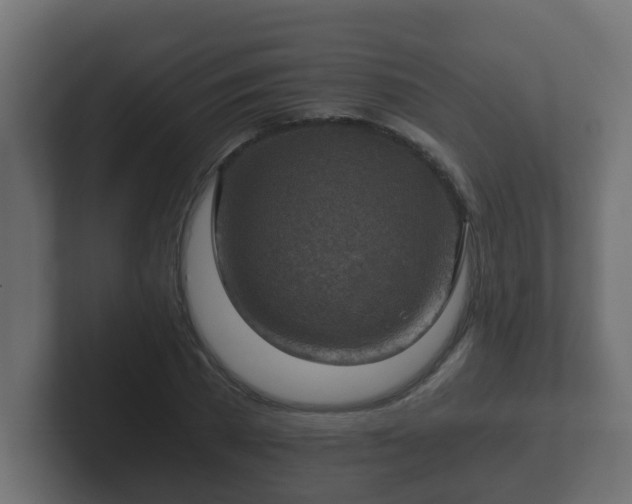 X0000102800785200808251048