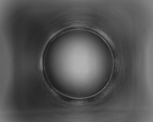 X0000102800791200808251048