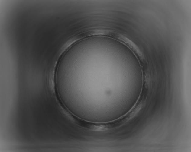 X0000102800794200808251048