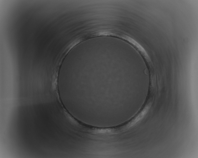 X0000102800801200808251048