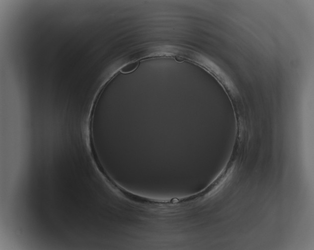 X0000102800802200808251048