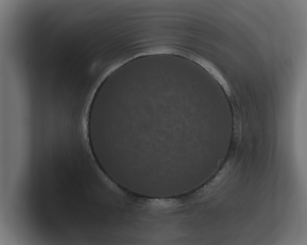 X0000102800805200808251048