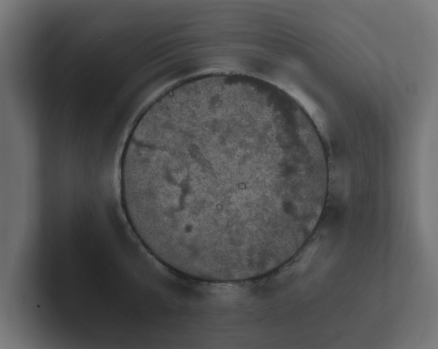 X0000102800807200808251048