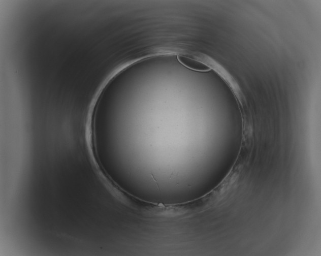 X0000102800811200808251047