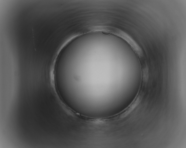 X0000102800814200808251047