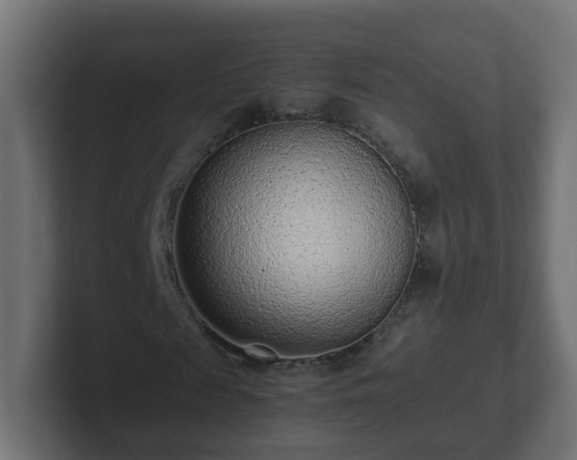 X0000102800817200808251047