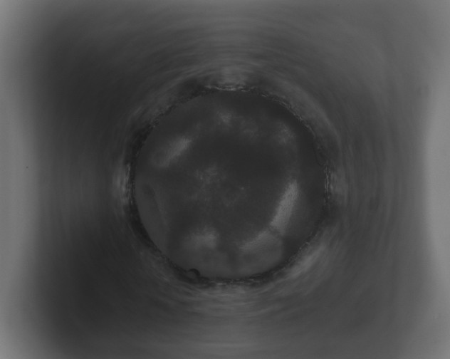 X0000102800818200808251047