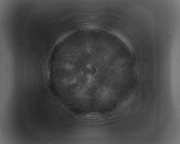 X0000102800823200808251047