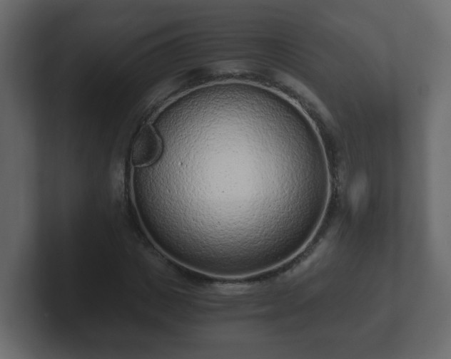 X0000102800825200808251047